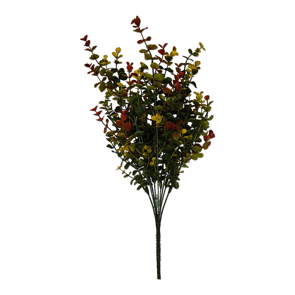 Tideline Naturescapes 20" Eucalyptus Bush x 9 - RU/RD