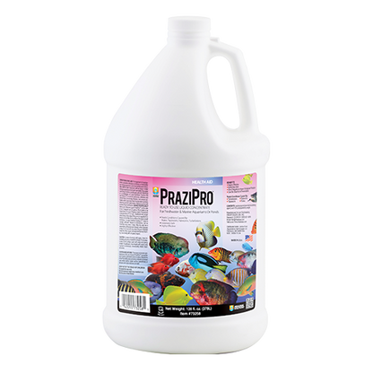 Hikari Prazipro Parasite Treatment