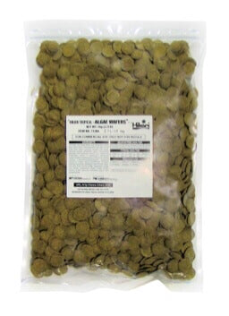 Algae Wafers 2.20lb