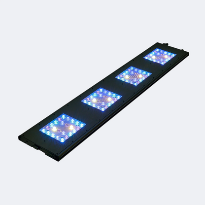 Reef Breeders LLC Reef Breeders Meridian 45 Original