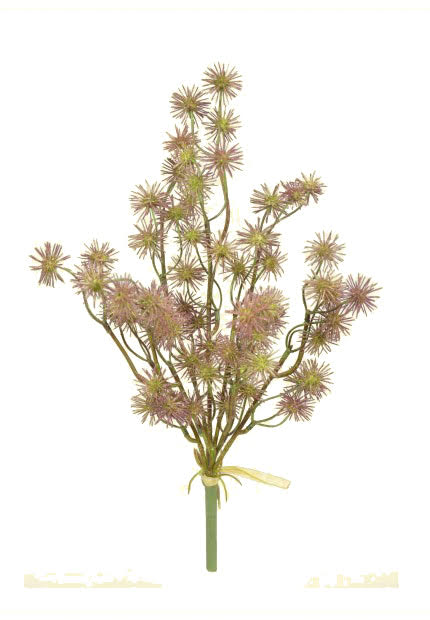 Tideline Naturescapes 14" Cocklebur Spray (FVC) Fall - BU