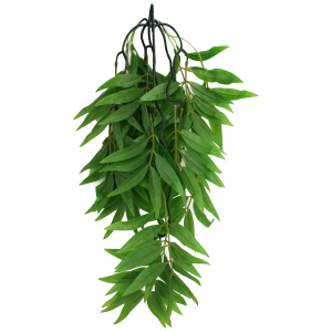 Komodo Bamboo - Large