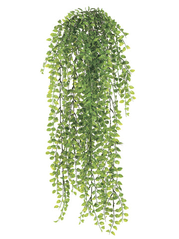 32" Small Pea Leaf Bush Green