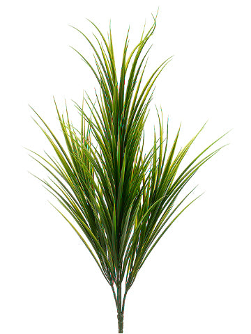 30" Grass Bush GR