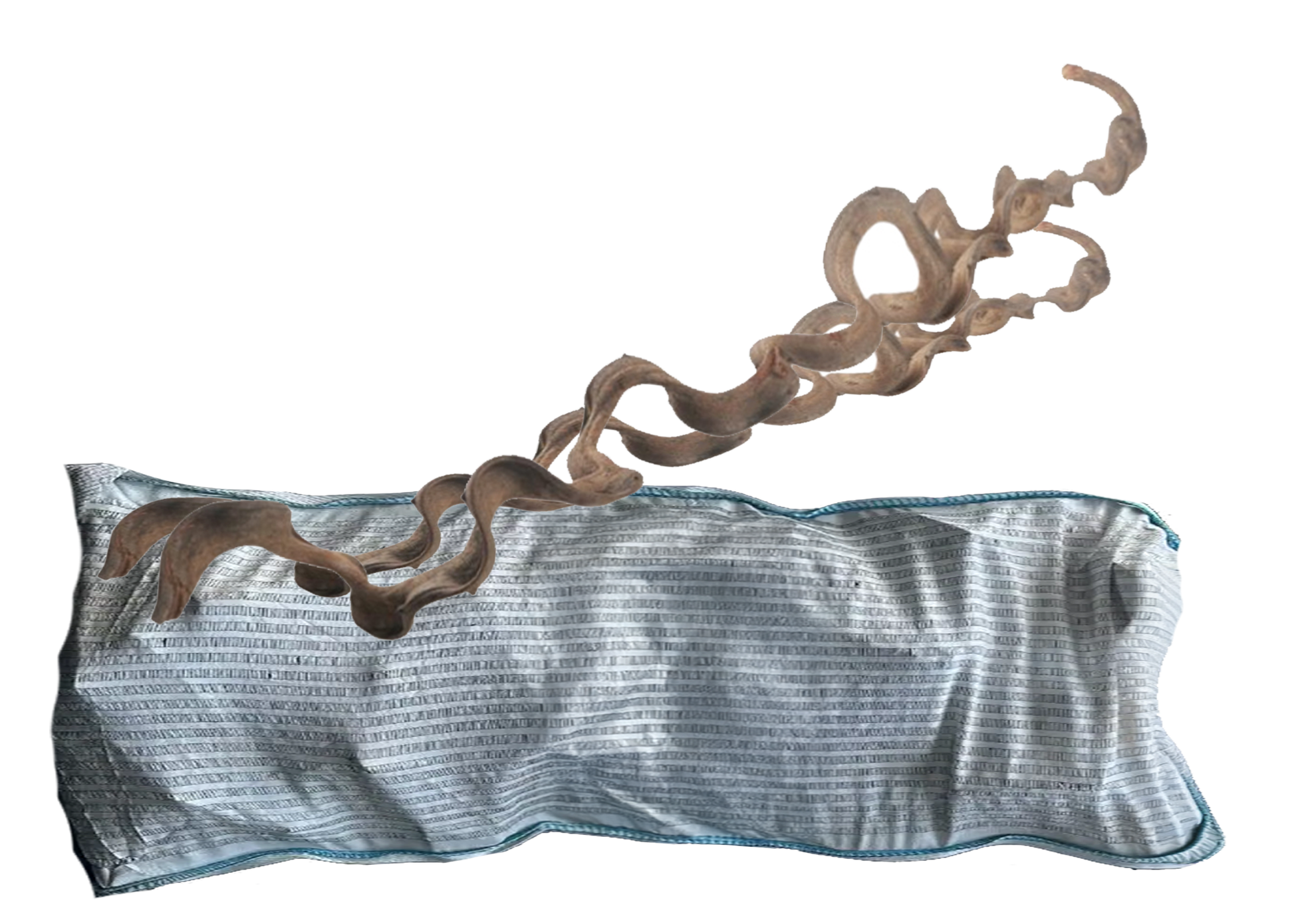 Naturescapes twisted branch Bulk Bag (30-)