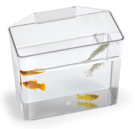 Lee's Aquarium Lees Large "Break Resistant" Specimen Container