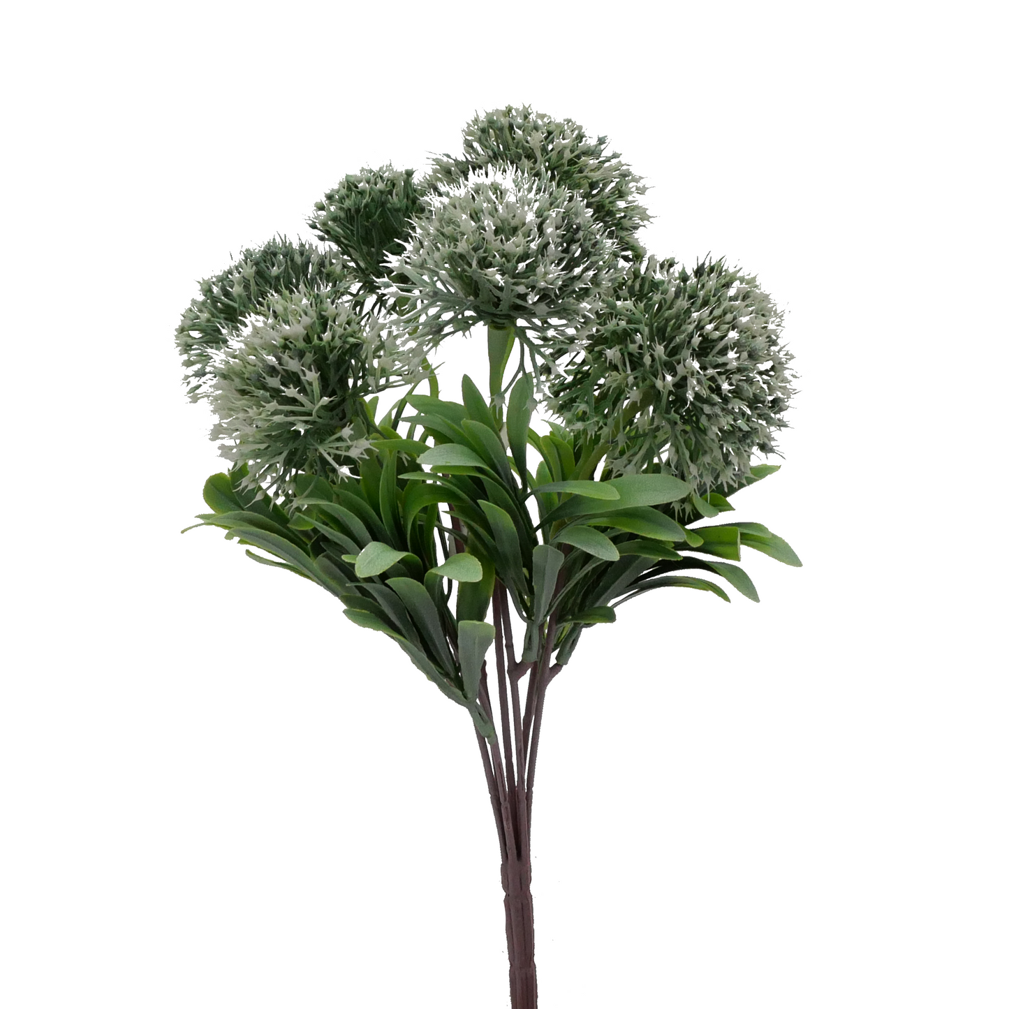 Tideline Naturescapes 12" Bluebell Allium - GREEN/WHT