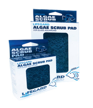Blue Algae Pads 3"x3"