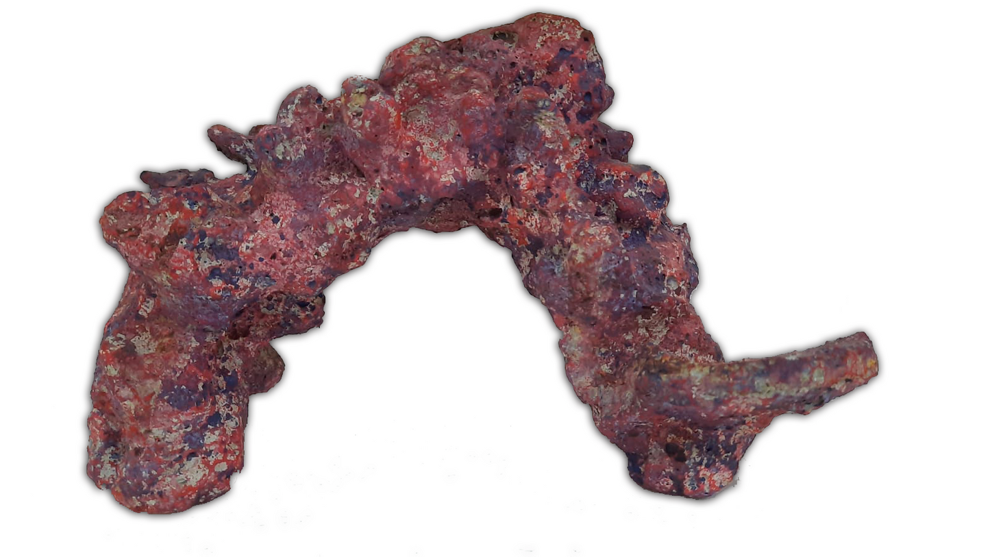 Tideline Naturescapes Naturescapes Reef Rock Arches
