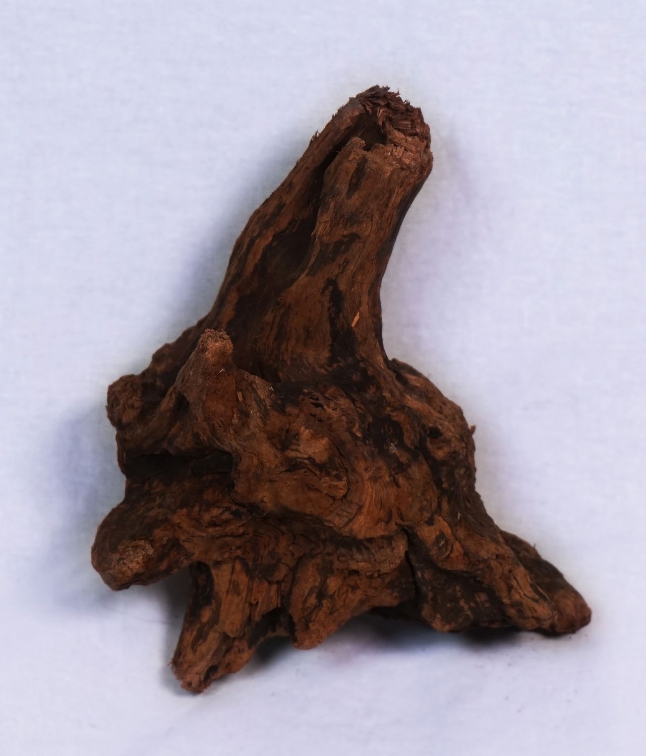 Pisces USA Pisces Ancient Wood <