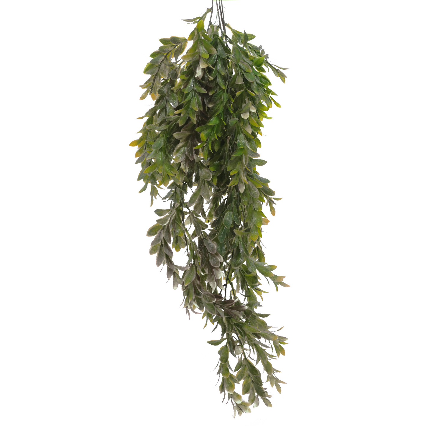 Tideline Naturescapes 30" Hanging Vine - WHITE