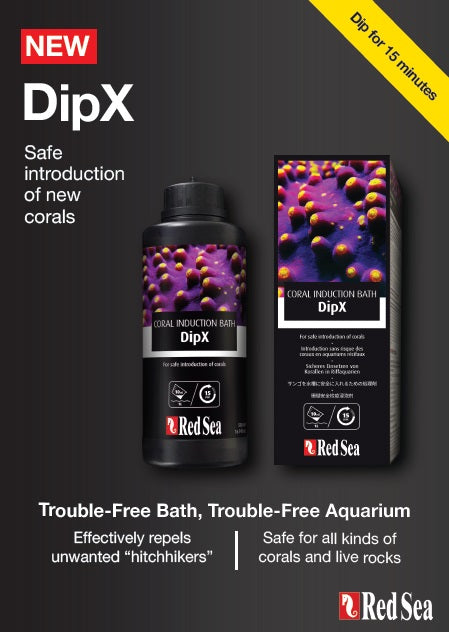 Red Sea DipX
