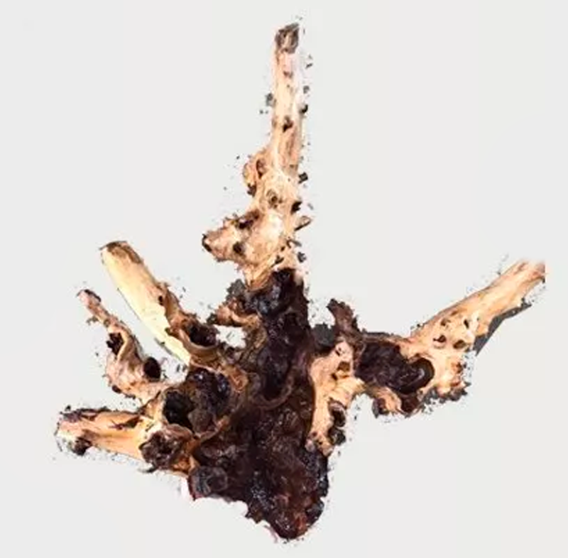 Tideline Naturescapes Indo Mopani Wood XL