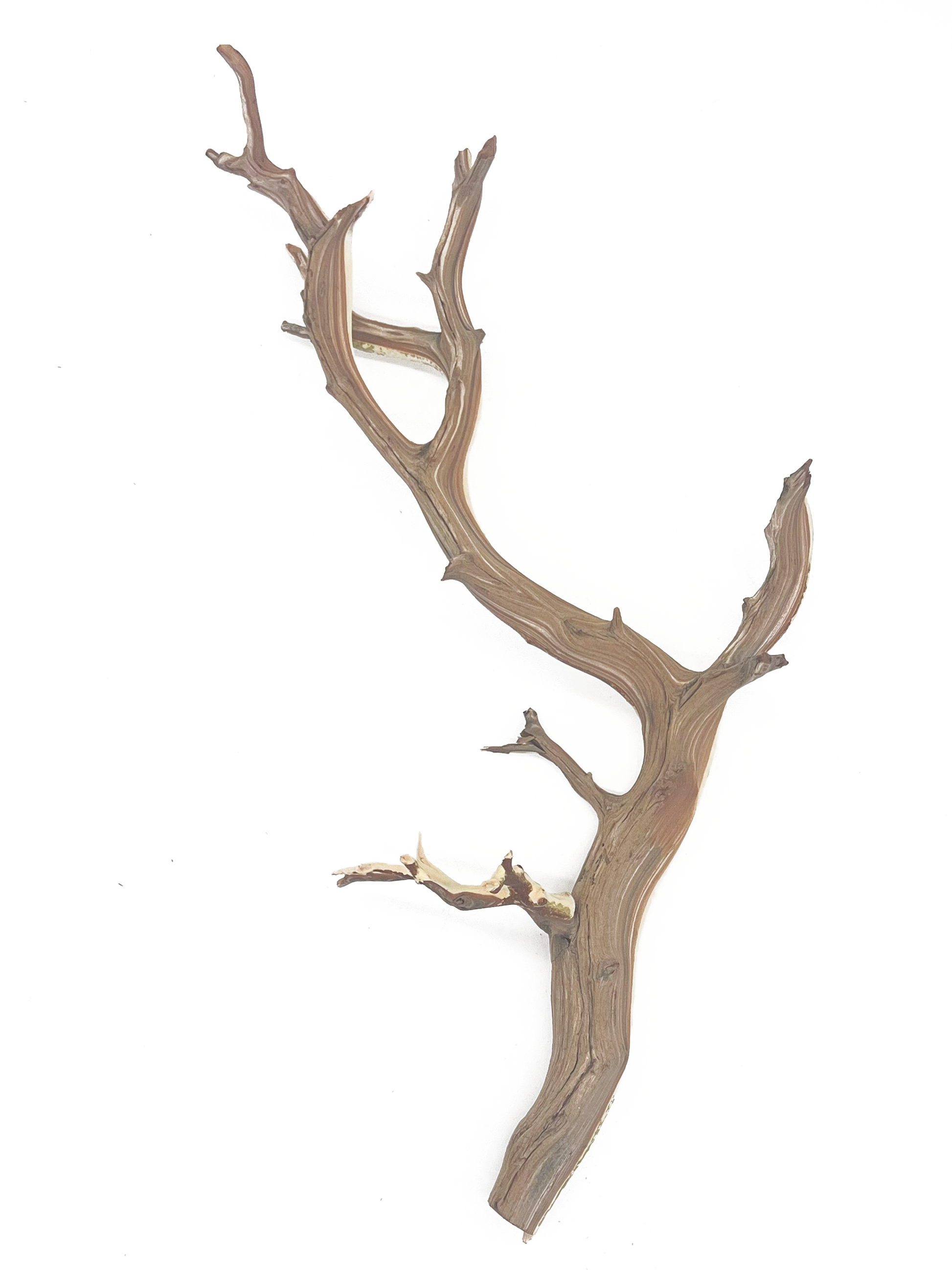 Tideline Naturescapes Naturescapes Ghostwood Natural 14-16"