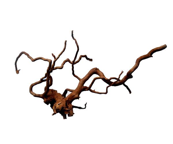 Spider Wood 20"-24" Large
