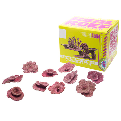 Real Reef Mini Plate Corals 4-6" (10 PC)