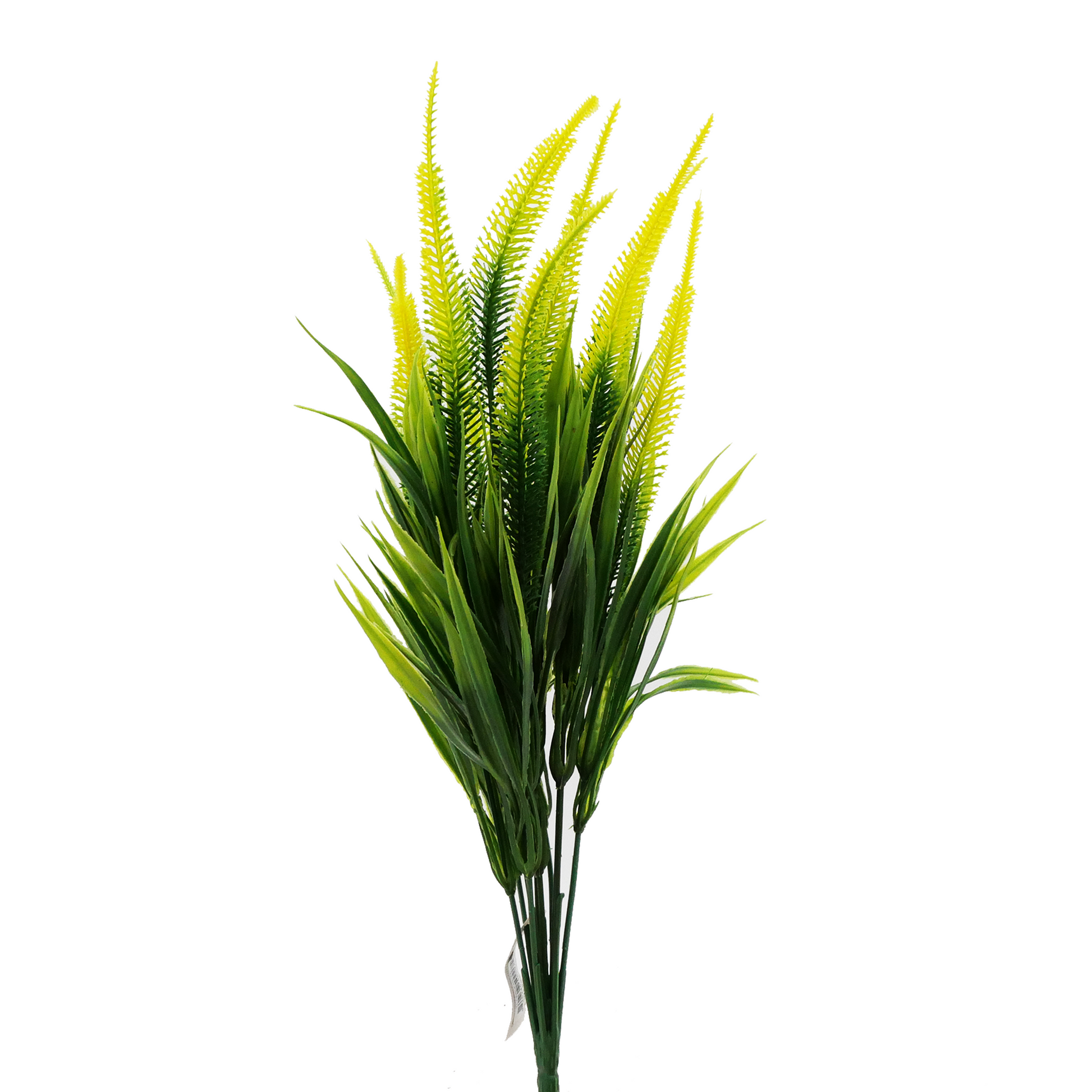Tideline Naturescapes 16" Tall Amaranth Grass