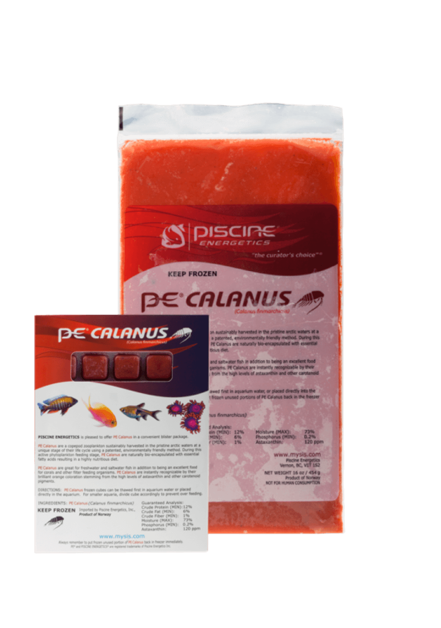 Piscine Energetics Calanus Flatpack (Frozen)