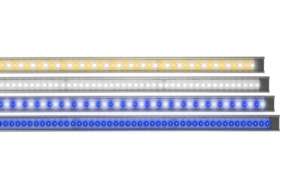 LumiLite 50/50 LED Strip 24"