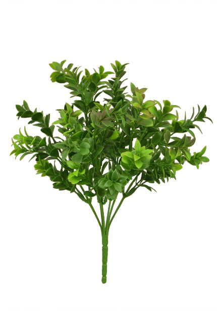 Tideline Naturescapes 12" Eucalyptus Leaf Bush x 6