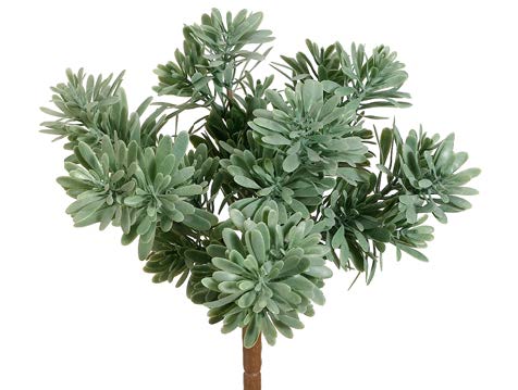 Tideline Naturescapes 9" Plastic Succulent Frosted