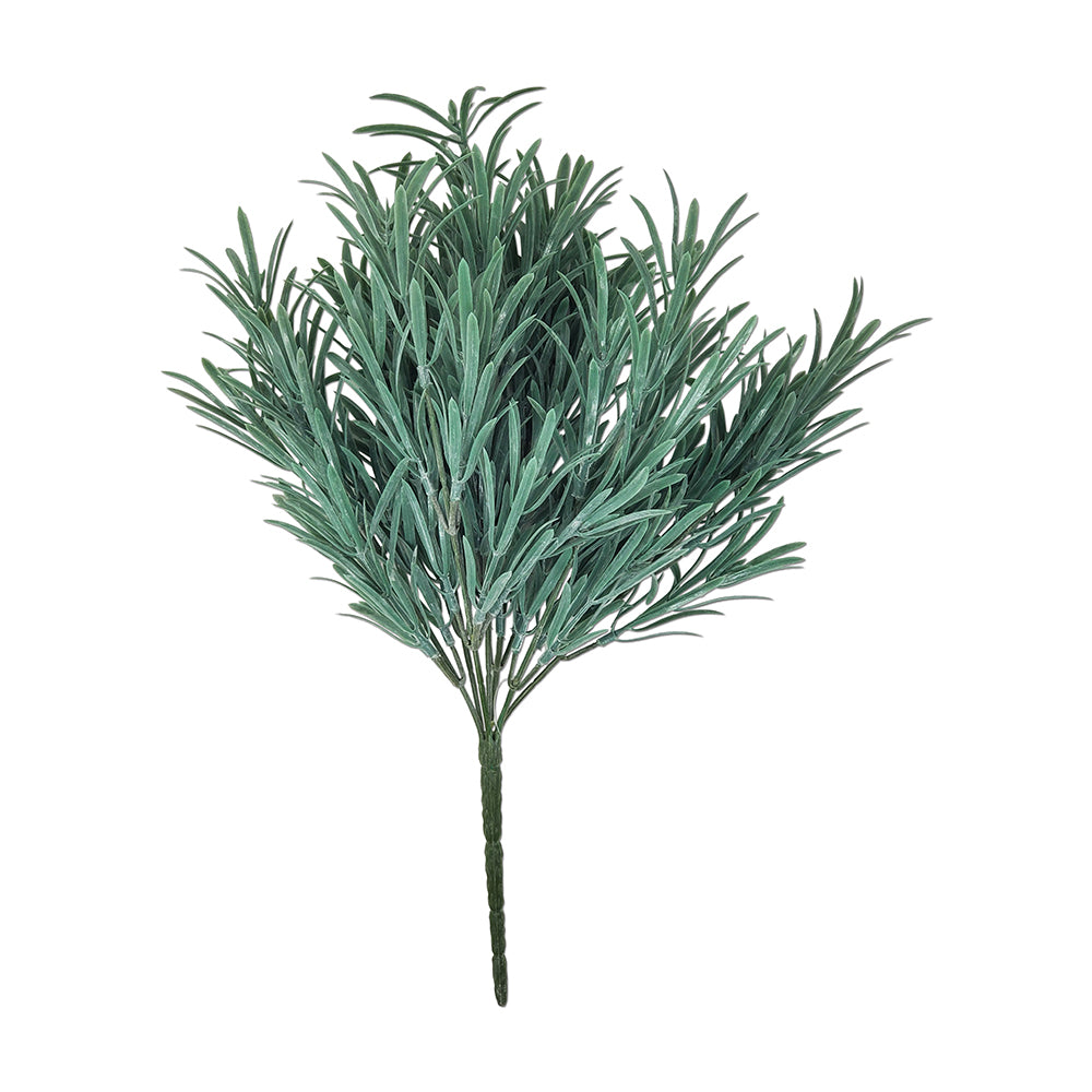 8" Podocarpus Bush (Frosted)