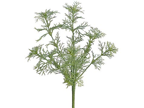 Tideline Naturescapes 9.5" Dill Bush Green