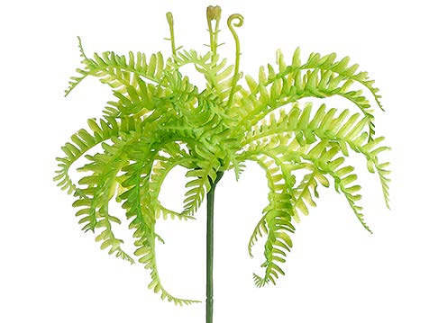 8" Mini Fern Pick Green