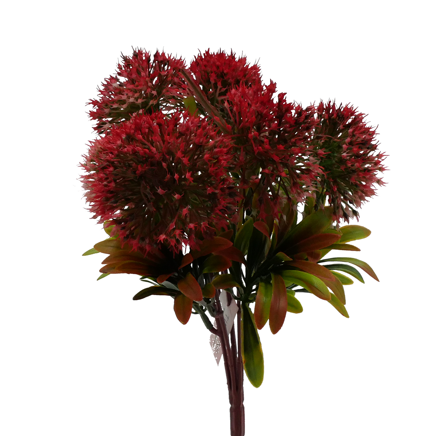 Tideline Naturescapes 12" Bluebell Allium