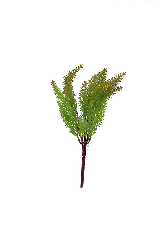 Tideline Naturescapes 12" Maidenhair - Yellow