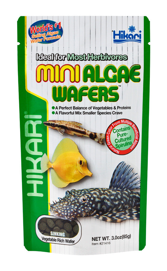Hikari Mini Algae Wafers
