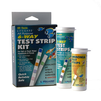 Test Strip Kit 6 Way 24pck