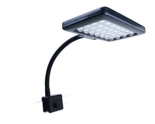 Zetlight N1-M LED Light