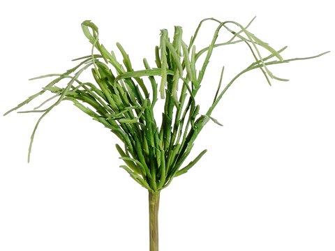 13" Hanging Cactus Pick Green