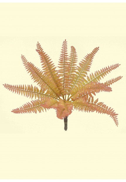 11" Fern Bush (Fall)