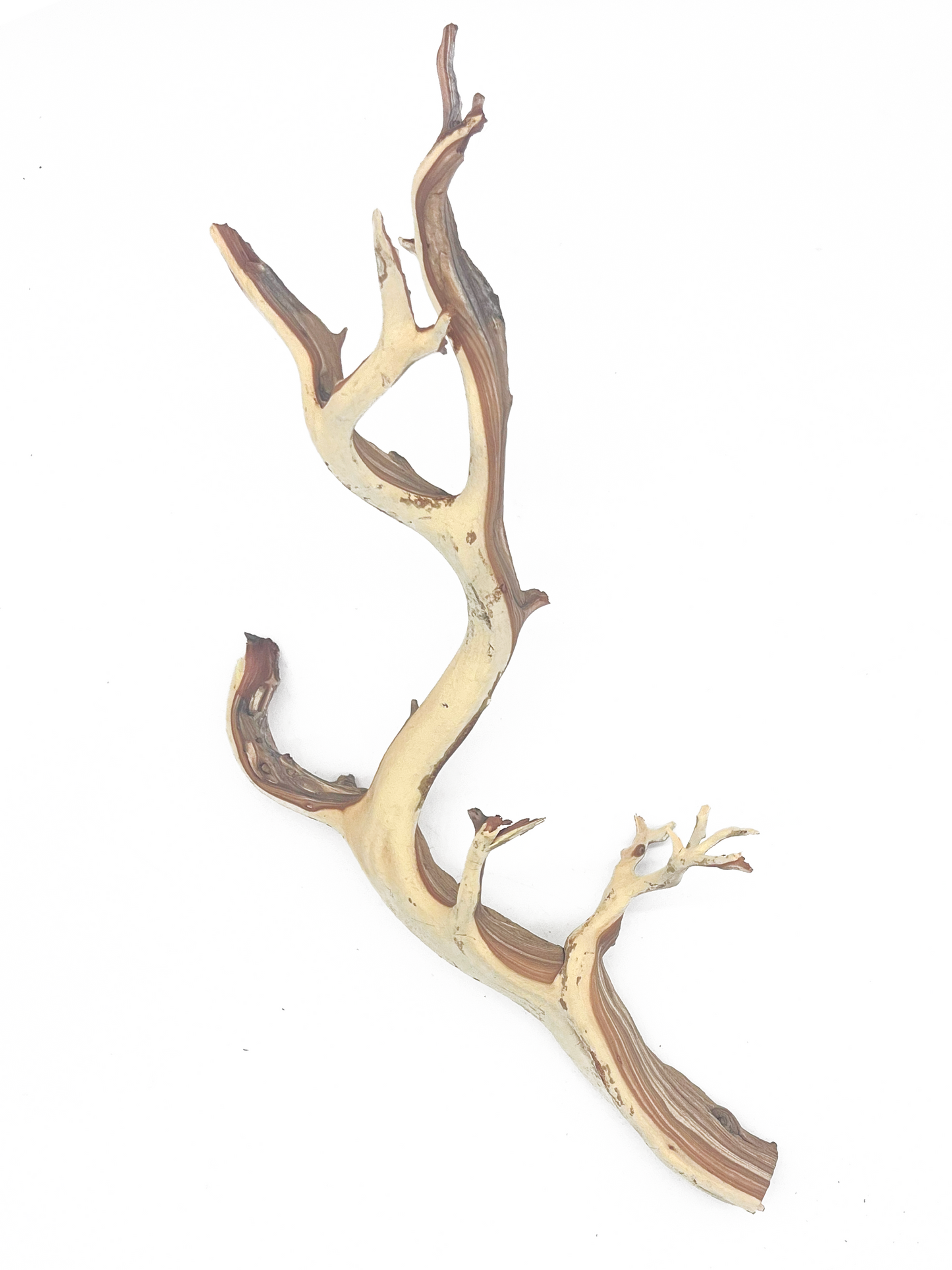 Tideline Naturescapes Naturescapes Ghostwood Natural 14-16"