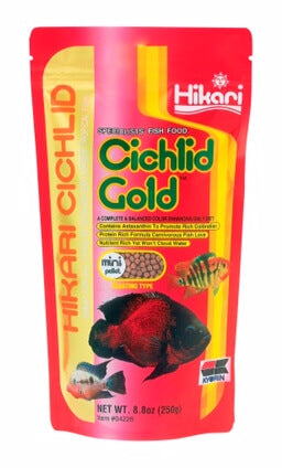 Hikari Cichlid Gold Mini Pellets