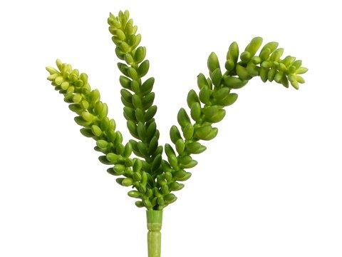 9.5" Hanging Sedum Bush x3 Green
