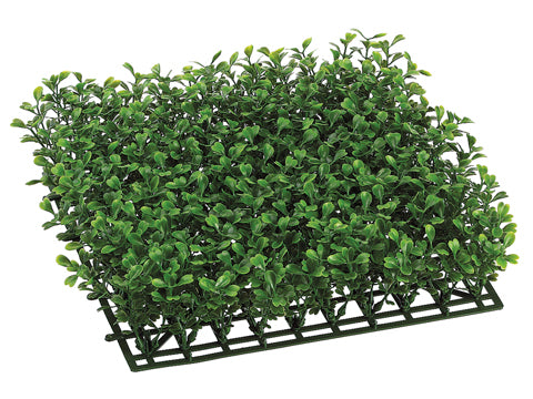 10" Boxwood Mat Green