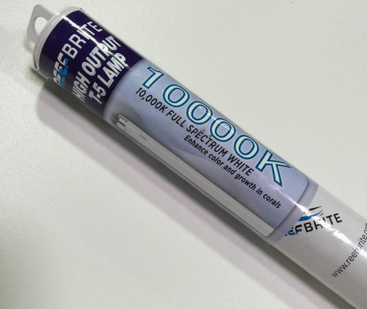 10K Bulb T5 24w