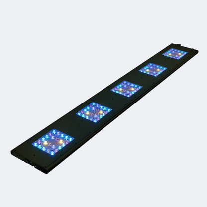 Reef Breeders LLC Reef Breeders Meridian 63 Original