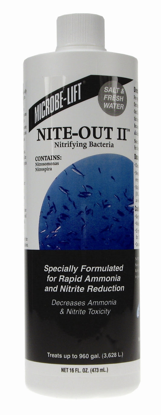 Nite Out II 16oz