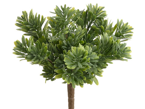 9" Succulent Grass Bush
