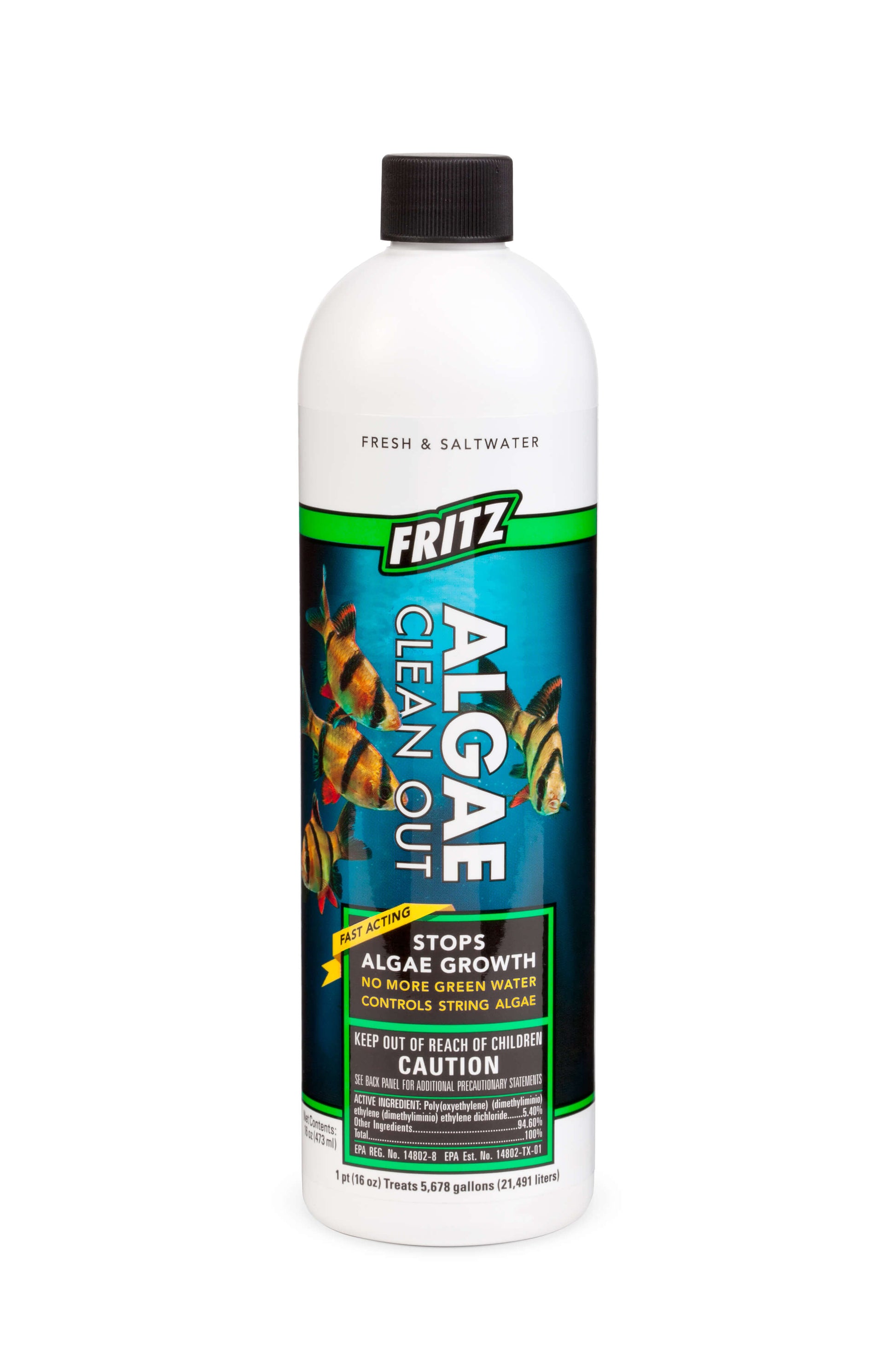 Algae Clean Out 16oz
