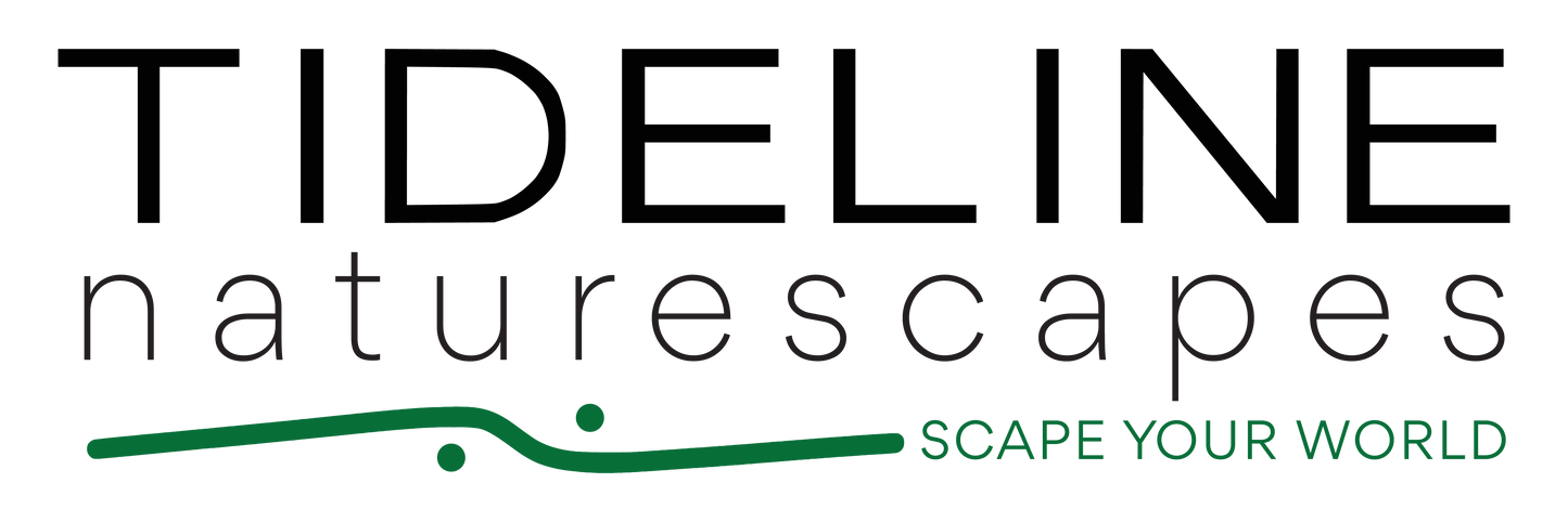 Naturescapes Banner