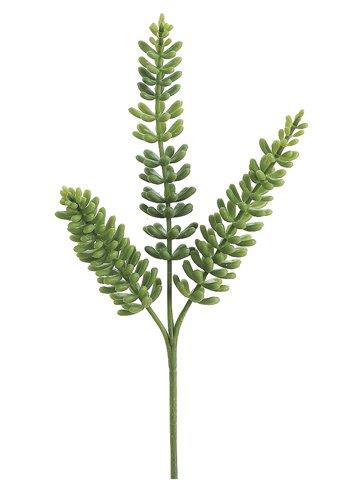 11" Donkey Tail Spray Green