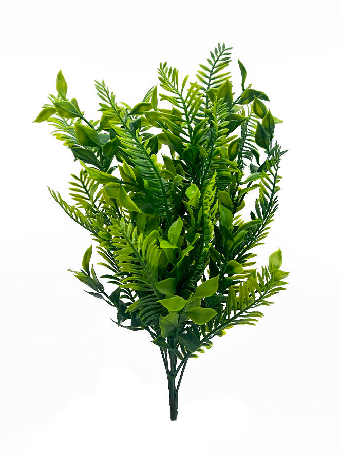 Tideline Naturescapes 14" Boxwood Fern