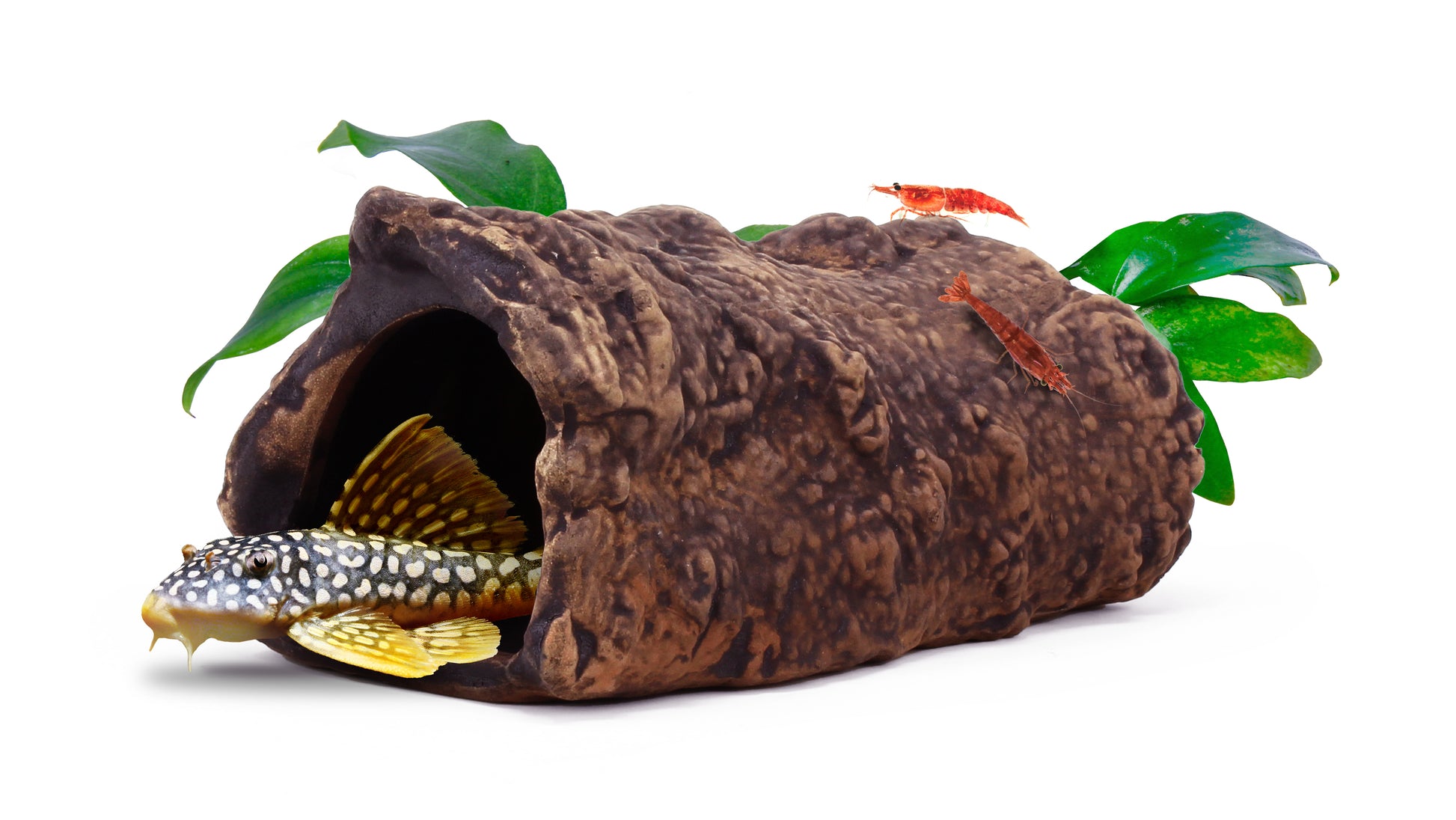 AquaVitro Ceramic Hide L3