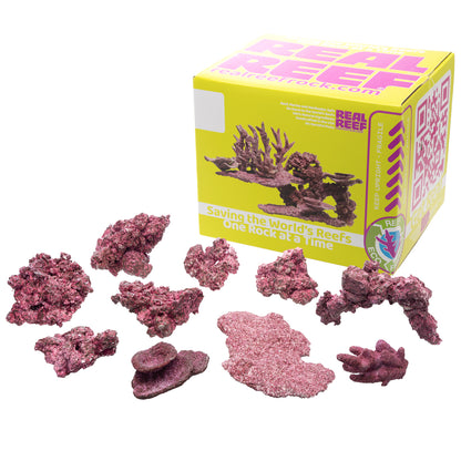 Real Reef Rock Mini Reef Box 10