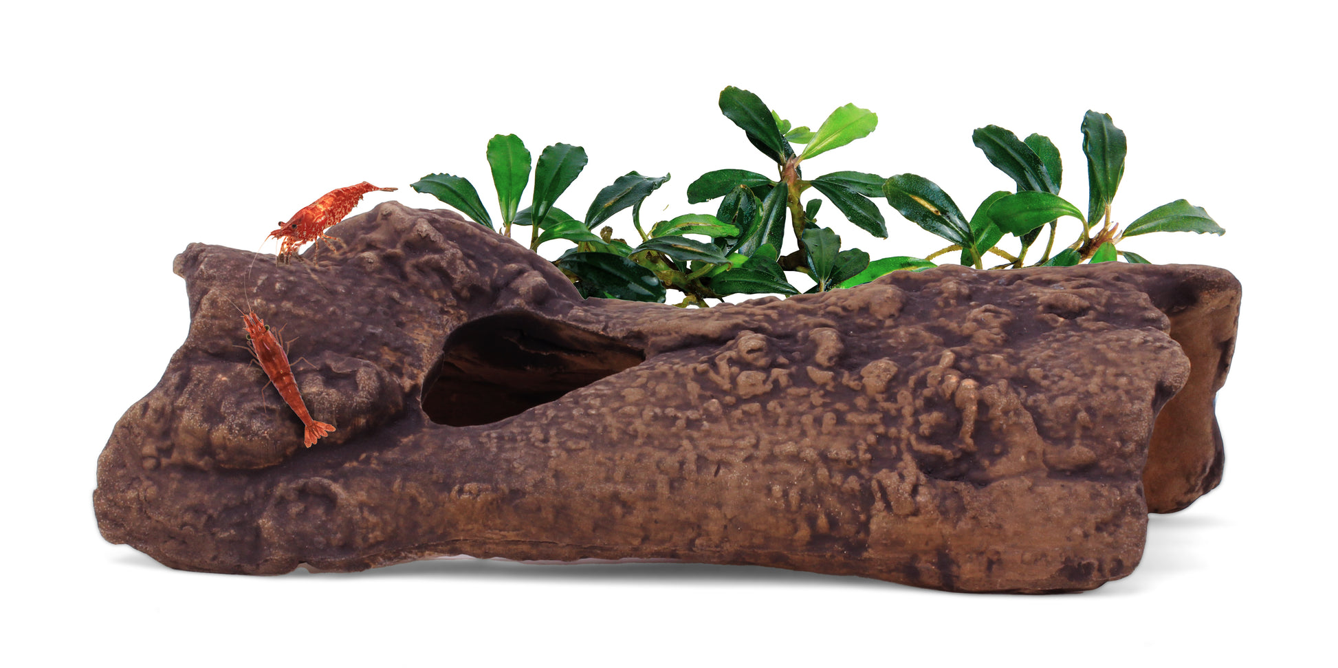 AquaVitro AquaVitro Ceramic Hide L1